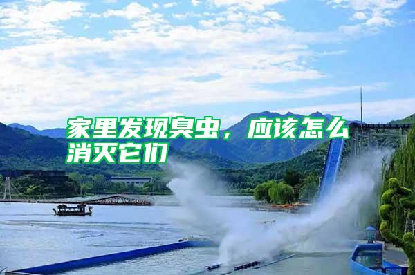 家里發(fā)現(xiàn)臭蟲，應該怎么消滅它們