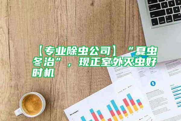 【專業(yè)除蟲(chóng)公司】“夏蟲(chóng)冬治”，現(xiàn)正室外滅蟲(chóng)好時(shí)機(jī)