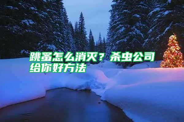 跳蚤怎么消滅？殺蟲公司給你好方法