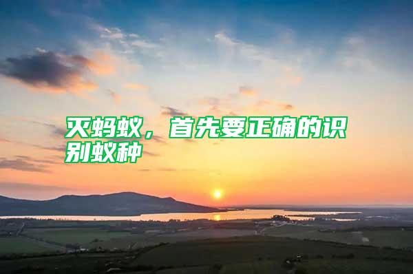 滅螞蟻，首先要正確的識別蟻種
