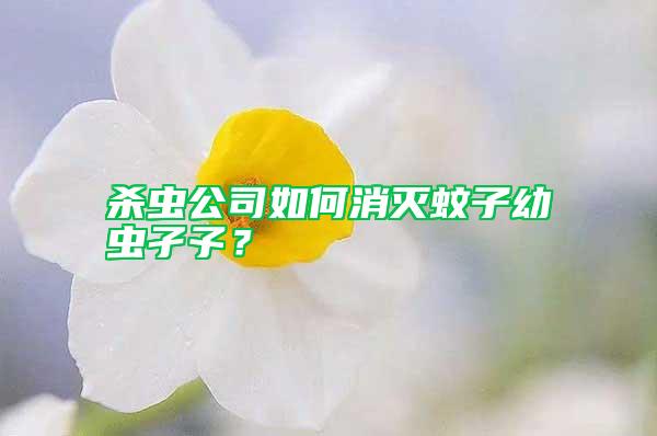 殺蟲(chóng)公司如何消滅蚊子幼蟲(chóng)孑孓？