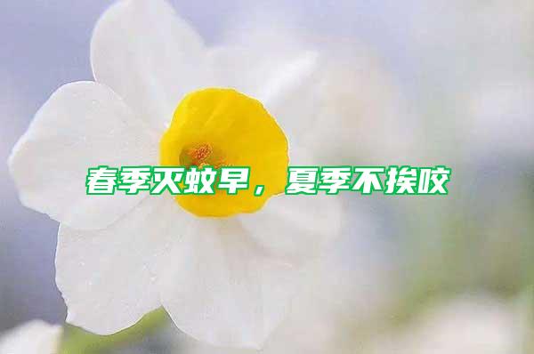 春季滅蚊早，夏季不挨咬