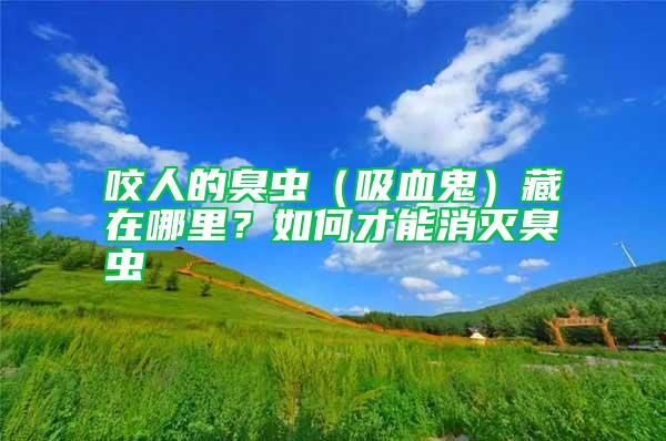 咬人的臭蟲（吸血鬼）藏在哪里？如何才能消滅臭蟲