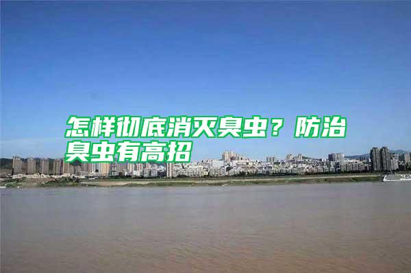 怎樣徹底消滅臭蟲？防治臭蟲有高招