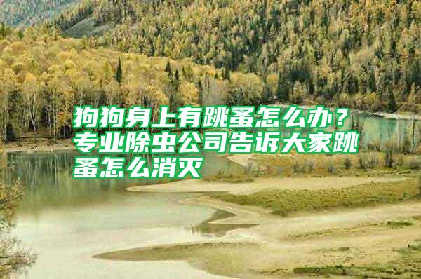 狗狗身上有跳蚤怎么辦？專(zhuān)業(yè)除蟲(chóng)公司告訴大家跳蚤怎么消滅