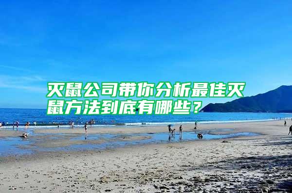 滅鼠公司帶你分析最佳滅鼠方法到底有哪些？