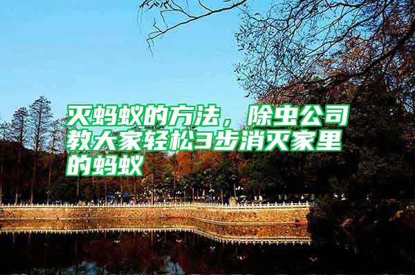 滅螞蟻的方法，除蟲公司教大家輕松3步消滅家里的螞蟻