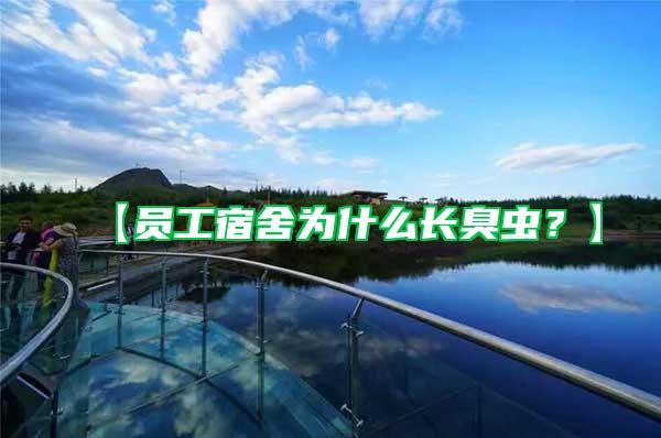 【員工宿舍為什么長(zhǎng)臭蟲(chóng)？】