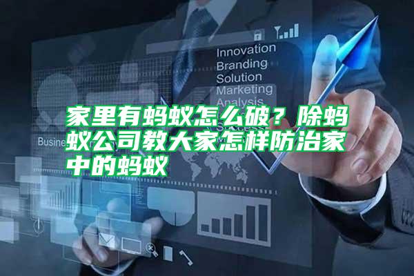 家里有螞蟻怎么破？除螞蟻公司教大家怎樣防治家中的螞蟻