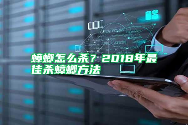 蟑螂怎么殺？2018年最佳殺蟑螂方法