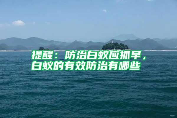 提醒：防治白蟻應(yīng)抓早，白蟻的有效防治有哪些