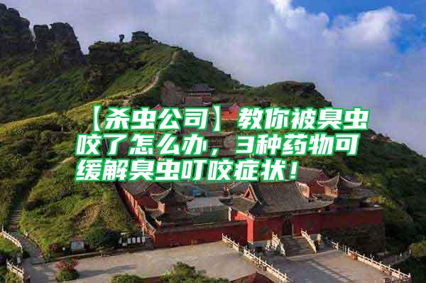 【殺蟲公司】教你被臭蟲咬了怎么辦，3種藥物可緩解臭蟲叮咬癥狀！