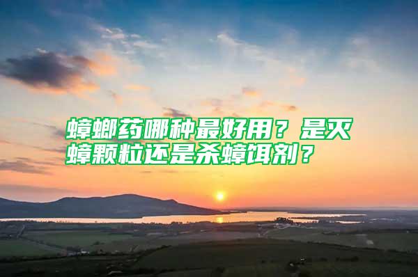 蟑螂藥哪種最好用？是滅蟑顆粒還是殺蟑餌劑？
