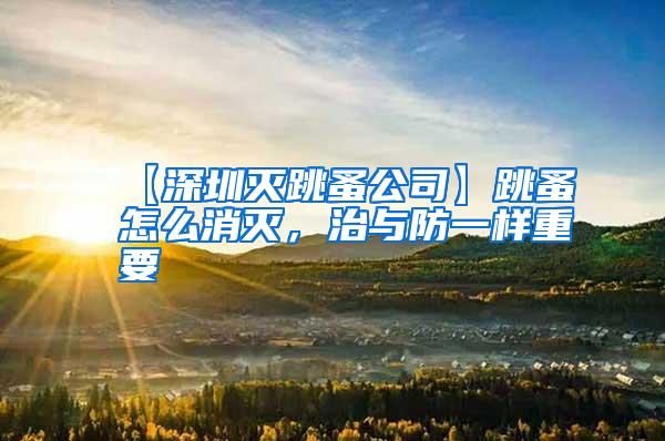【深圳滅跳蚤公司】跳蚤怎么消滅，治與防一樣重要