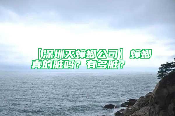 【深圳滅蟑螂公司】蟑螂真的臟嗎？有多臟？