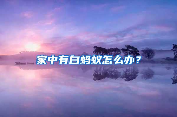 家中有白螞蟻怎么辦？
