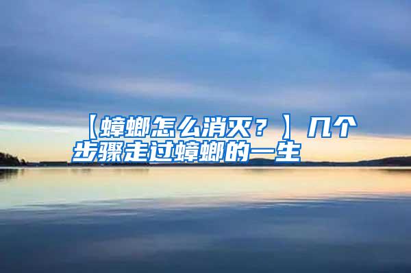 【蟑螂怎么消滅？】幾個(gè)步驟走過(guò)蟑螂的一生