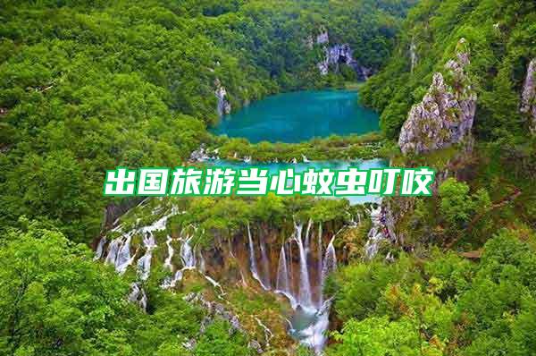 出國(guó)旅游當(dāng)心蚊蟲(chóng)叮咬