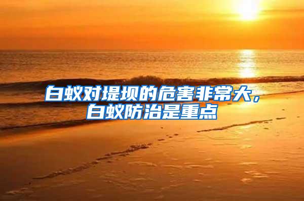 白蟻對堤壩的危害非常大，白蟻防治是重點