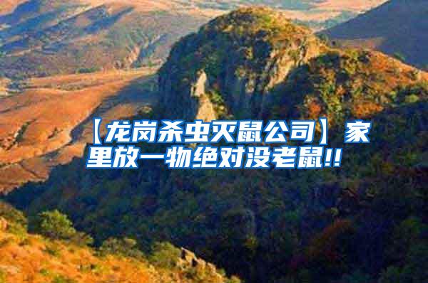 【龍崗殺蟲(chóng)滅鼠公司】家里放一物絕對(duì)沒(méi)老鼠!!