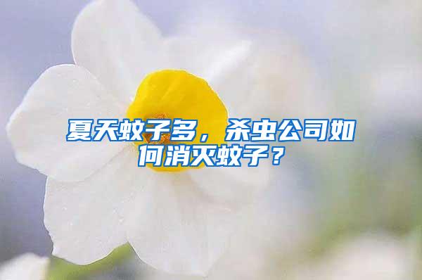 夏天蚊子多，殺蟲公司如何消滅蚊子？