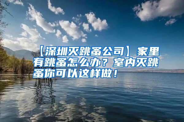 【深圳滅跳蚤公司】家里有跳蚤怎么辦？室內(nèi)滅跳蚤你可以這樣做！