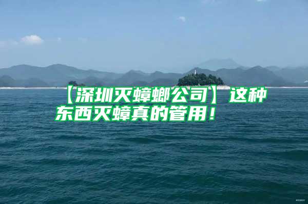 【深圳滅蟑螂公司】這種東西滅蟑真的管用！