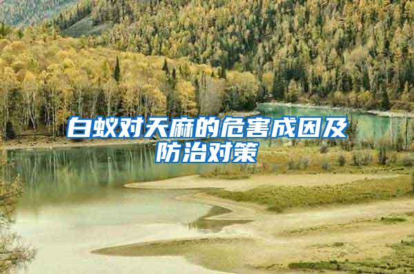 白蟻對(duì)天麻的危害成因及防治對(duì)策
