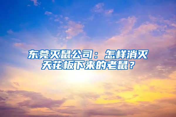 東莞滅鼠公司：怎樣消滅天花板下來的老鼠？