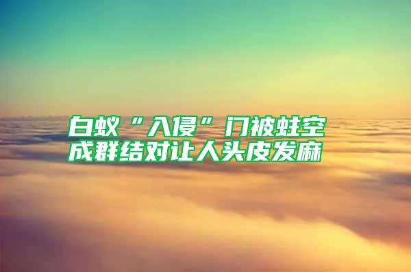 白蟻“入侵”門被蛀空 成群結(jié)對讓人頭皮發(fā)麻