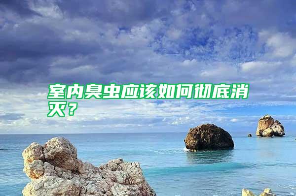 室內臭蟲應該如何徹底消滅？