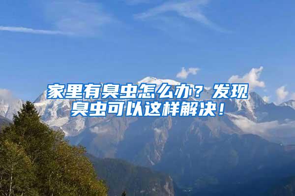 家里有臭蟲怎么辦？發(fā)現(xiàn)臭蟲可以這樣解決！