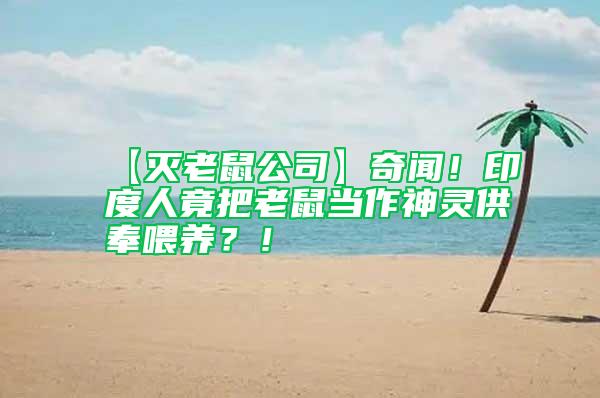 【滅老鼠公司】奇聞！印度人竟把老鼠當作神靈供奉喂養？！