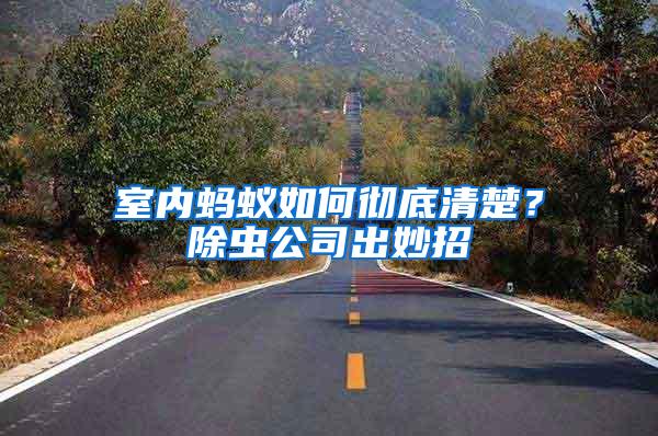 室內螞蟻如何徹底清楚？除蟲公司出妙招