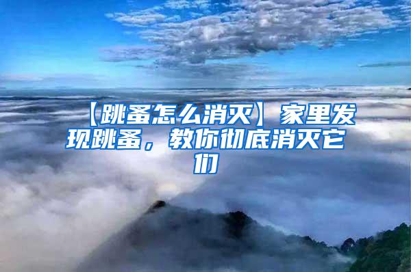 【跳蚤怎么消滅】家里發(fā)現(xiàn)跳蚤，教你徹底消滅它們