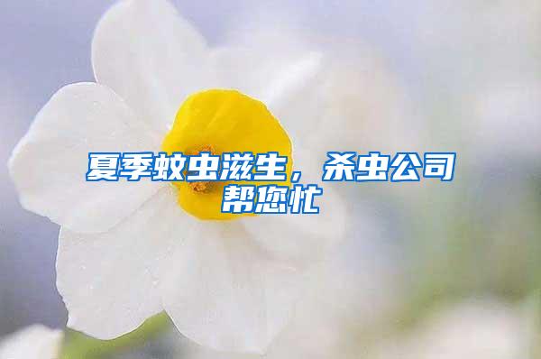 夏季蚊蟲滋生，殺蟲公司幫您忙