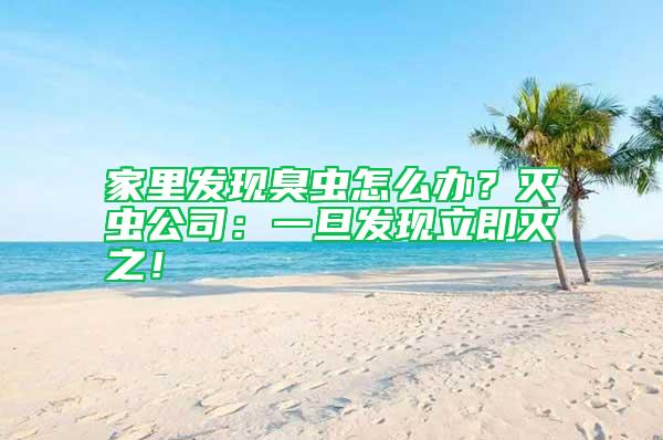 家里發(fā)現(xiàn)臭蟲怎么辦？滅蟲公司：一旦發(fā)現(xiàn)立即滅之！