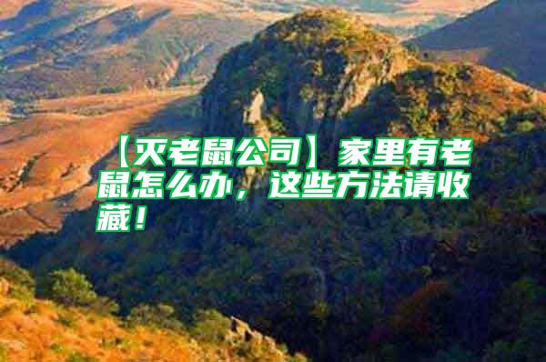 【滅老鼠公司】家里有老鼠怎么辦，這些方法請收藏！