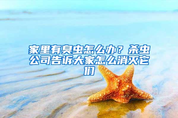 家里有臭蟲怎么辦？殺蟲公司告訴大家怎么消滅它們