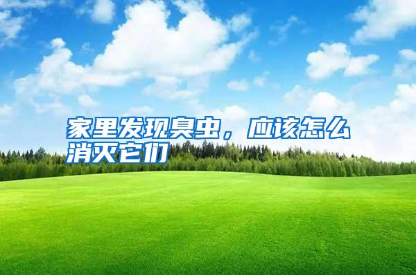 家里發(fā)現(xiàn)臭蟲，應(yīng)該怎么消滅它們