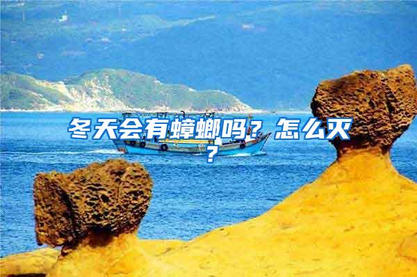 冬天會(huì)有蟑螂嗎？怎么滅？