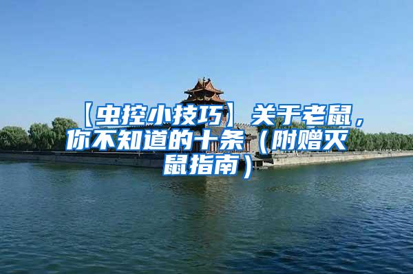【蟲控小技巧】關(guān)于老鼠，你不知道的十條（附贈滅鼠指南）