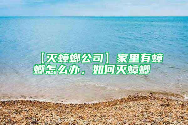 【滅蟑螂公司】家里有蟑螂怎么辦，如何滅蟑螂