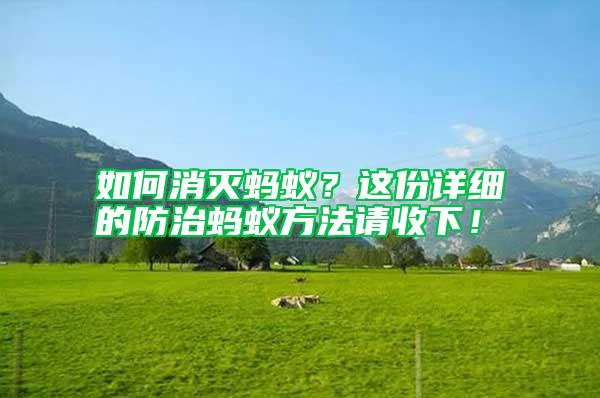 如何消滅螞蟻？這份詳細(xì)的防治螞蟻方法請收下！