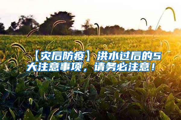 【災后防疫】洪水過后的5大注意事項，請務必注意！