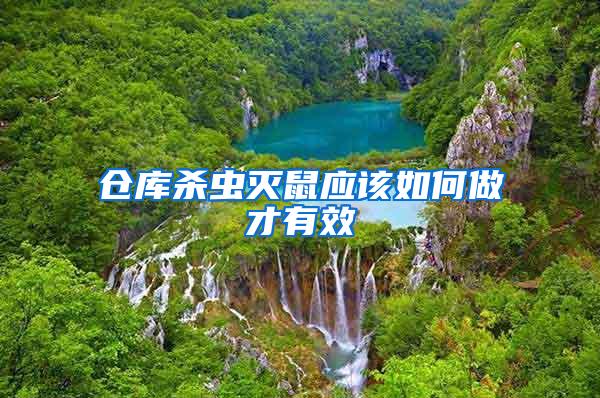 倉(cāng)庫(kù)殺蟲(chóng)滅鼠應(yīng)該如何做才有效