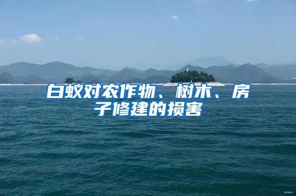 白蟻對(duì)農(nóng)作物、樹(shù)木、房子修建的損害