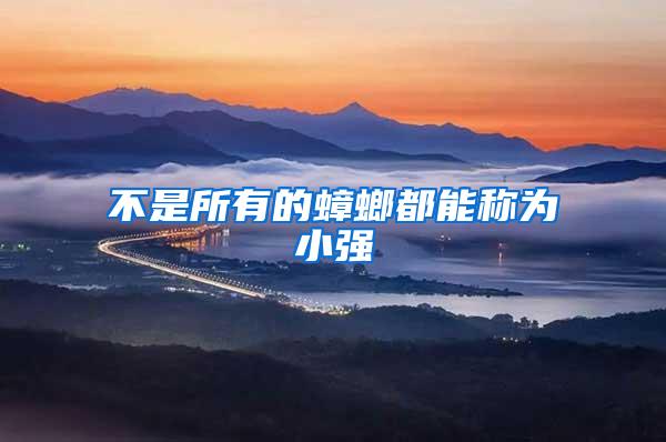 不是所有的蟑螂都能稱(chēng)為小強(qiáng)