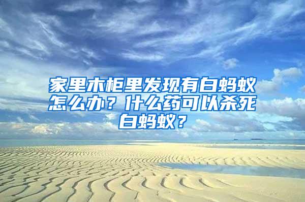 家里木柜里發現有白螞蟻怎么辦？什么藥可以殺死白螞蟻？