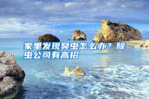 家里發(fā)現(xiàn)臭蟲怎么辦？除蟲公司有高招